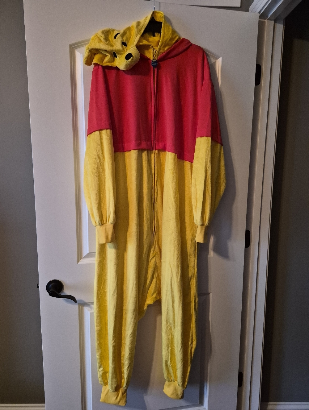 Disney Winnie the Pooh Onesie w/Hood